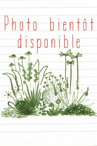 Saxifraga x andrewsii