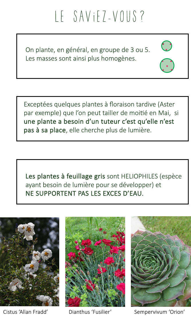 page-3-droite_03.jpg